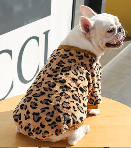 Cozy Up Your Pup This Autumn & Winter
