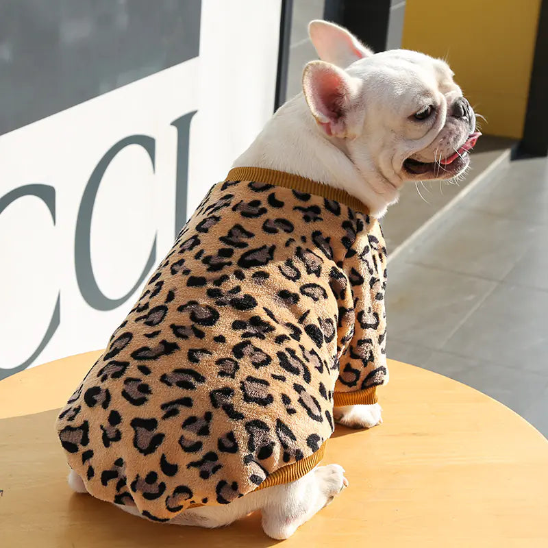 Cozy Up Your Pup This Autumn & Winter