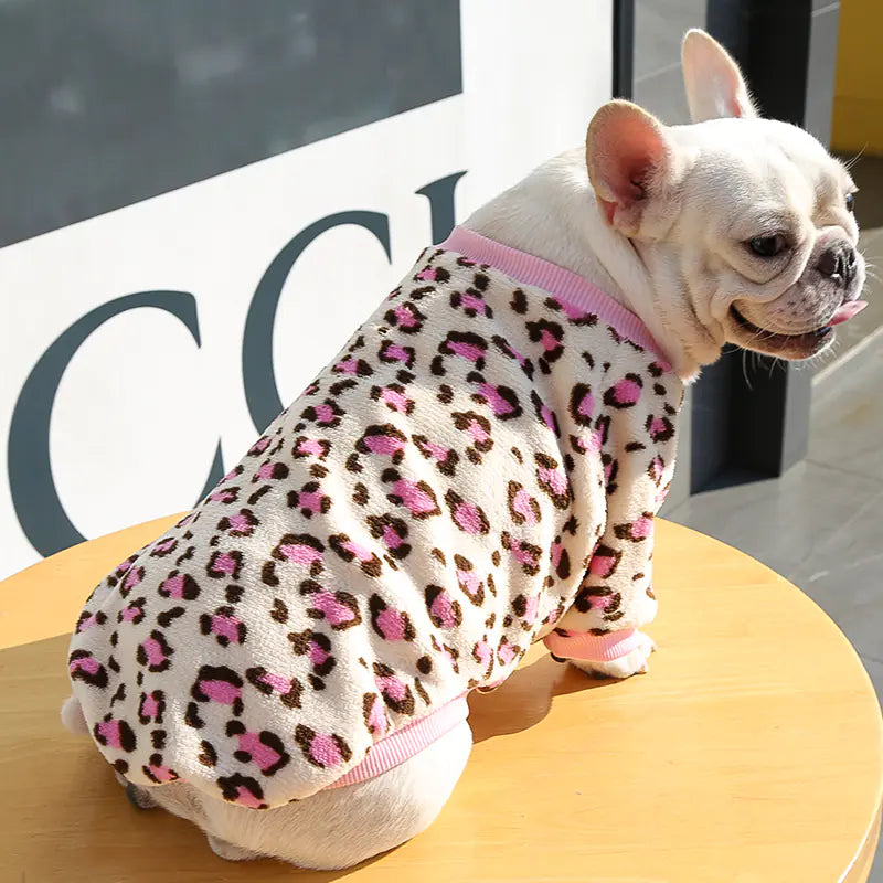 Cozy Up Your Pup This Autumn & Winter