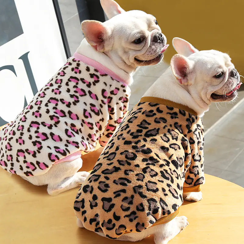 Cozy Up Your Pup This Autumn & Winter
